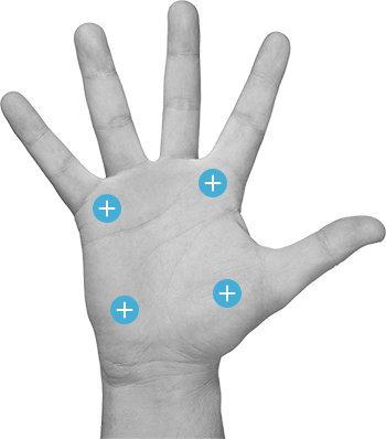 measurement points on hand epidermis